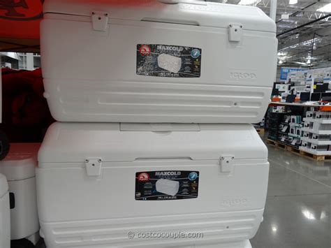 largest igloo cooler